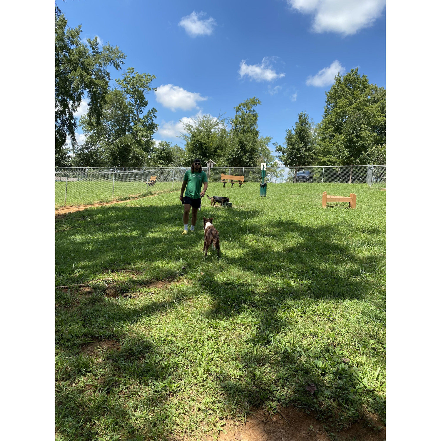 At the dog park