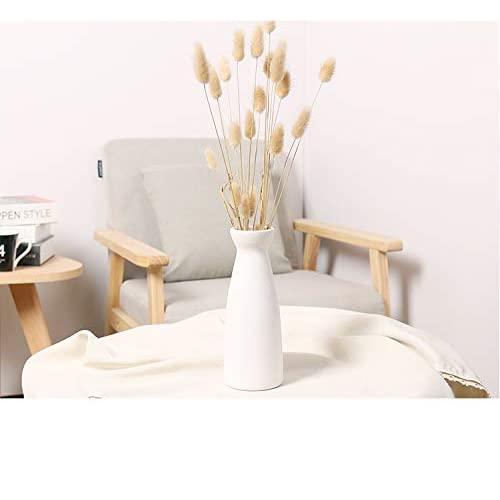 Classics Small Matte Finisher Ceramic Vases Use in Home Office Decor for Flowers, Pampas Grass & Dried Flower by Ware Science