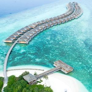 Honeymoon Fund!