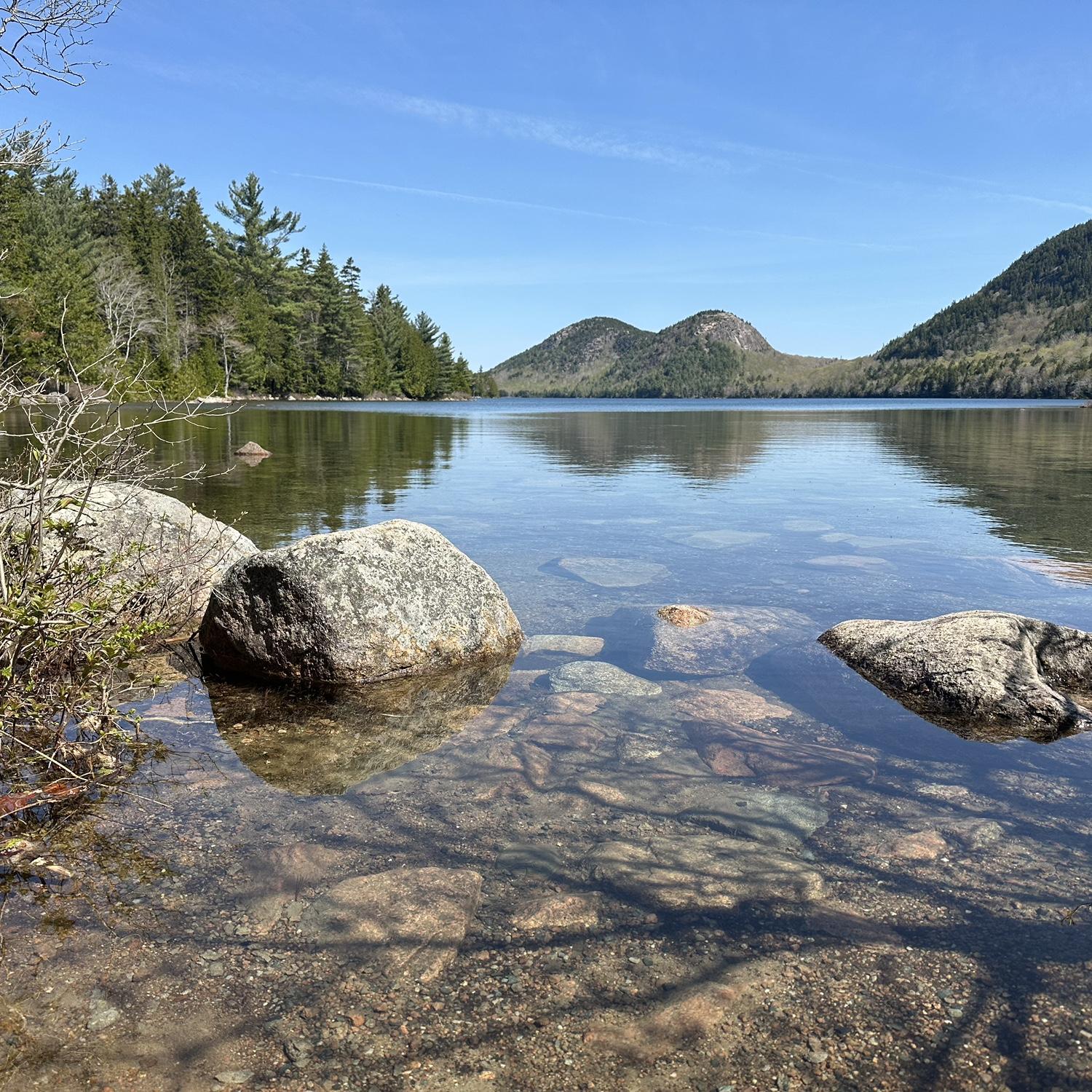 The view in Acadia National Park where Seth proposed.🤍💍