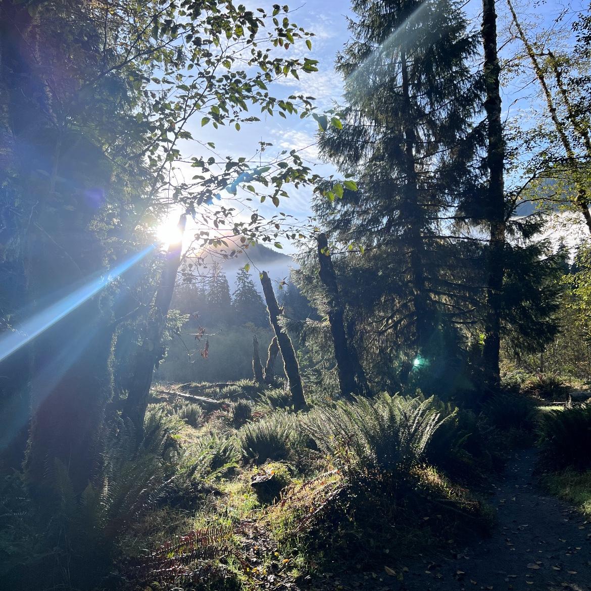Washington Road Trip 2023 (Olympic National Park)