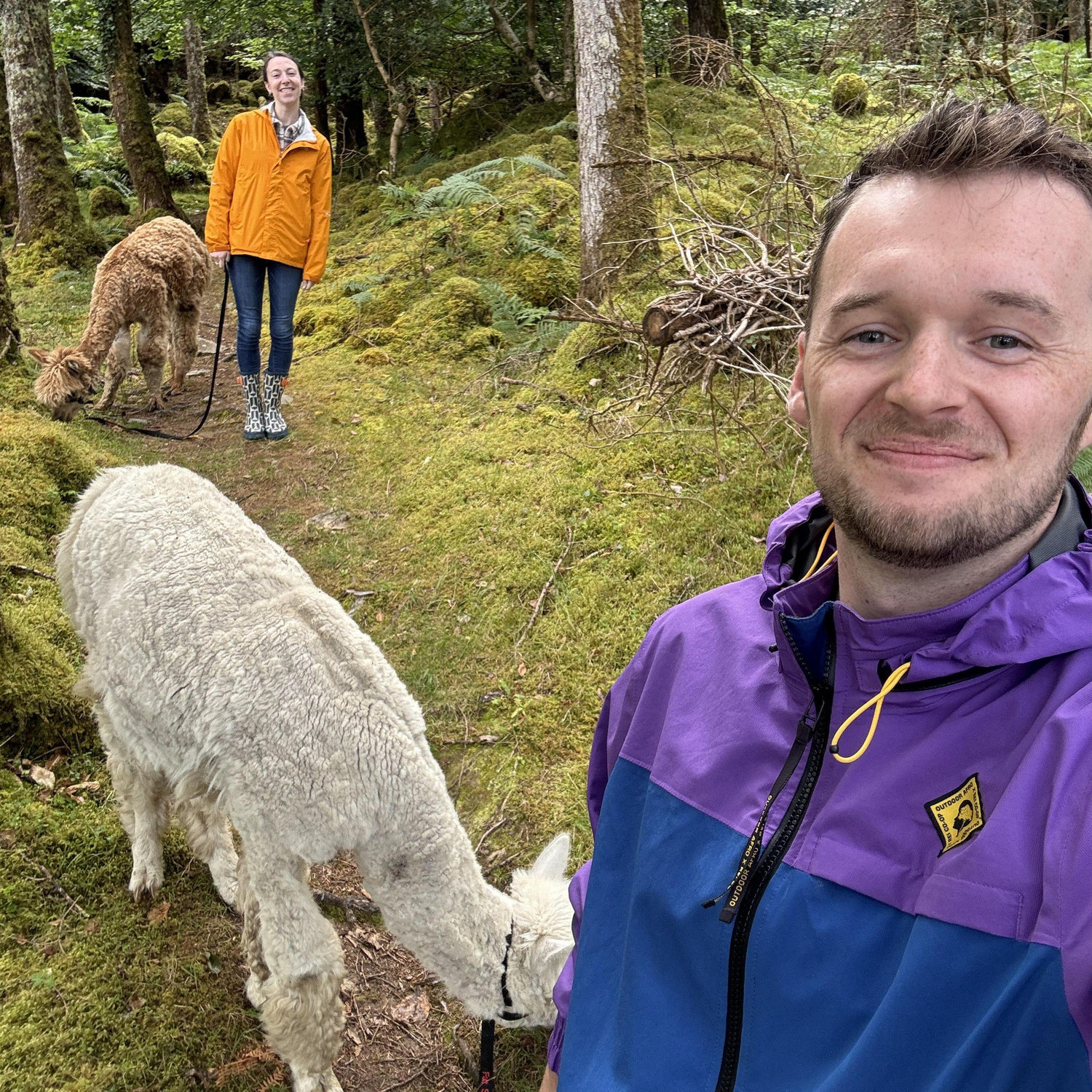 Alpaca adventure