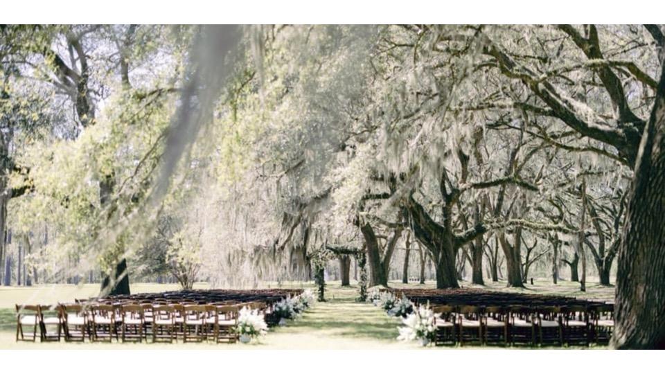 The Wedding Website of Elizabeth Atkins and Tajay Higgins