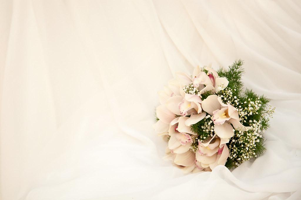 The Wedding Website of Joshua Bliss and Nina Goldsmith