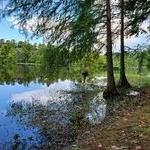 Boney Mill Pond Park