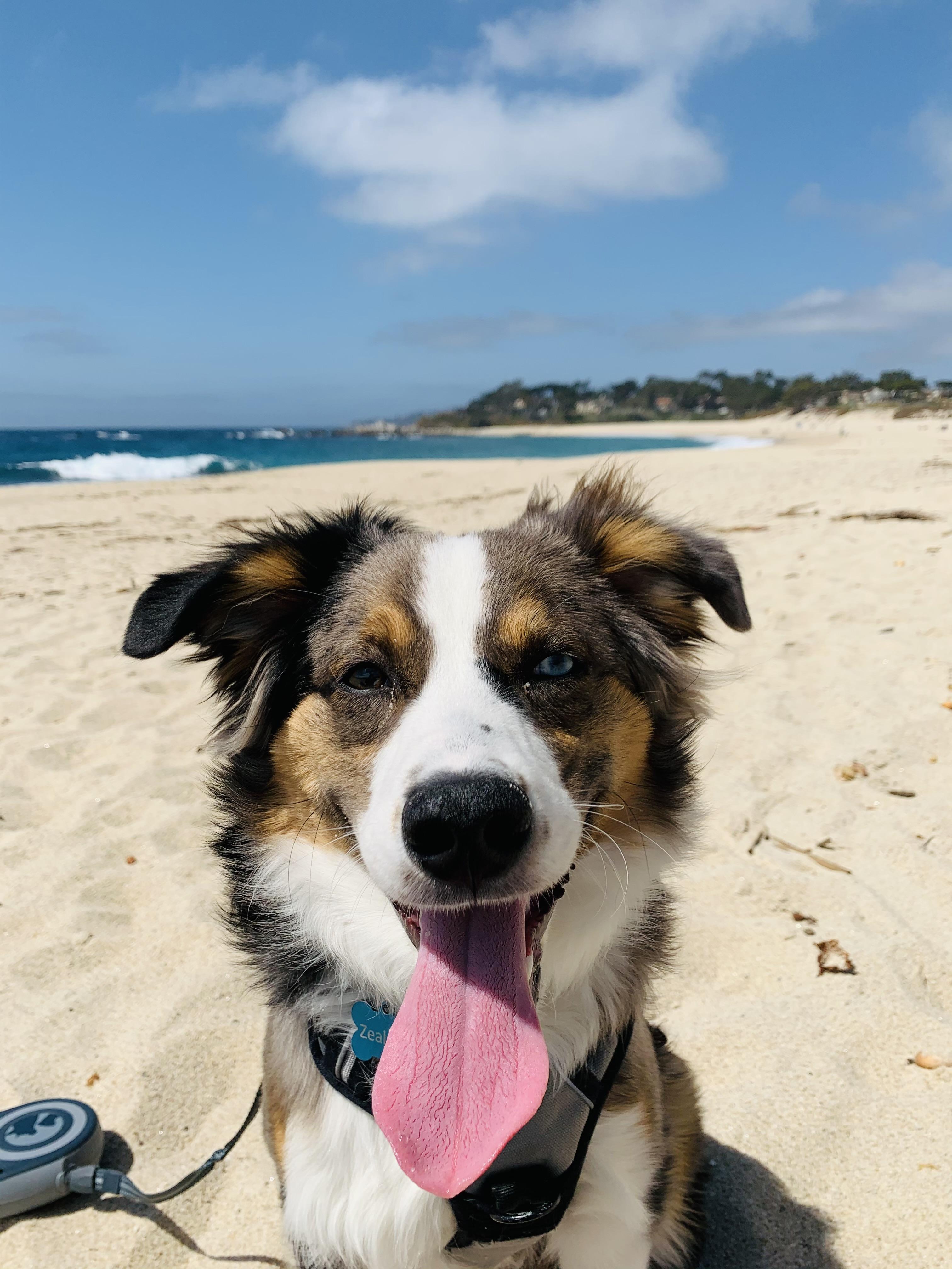 The Wedding Website of Alannah Willliams-Oliver and Jeffrey Garavaglia