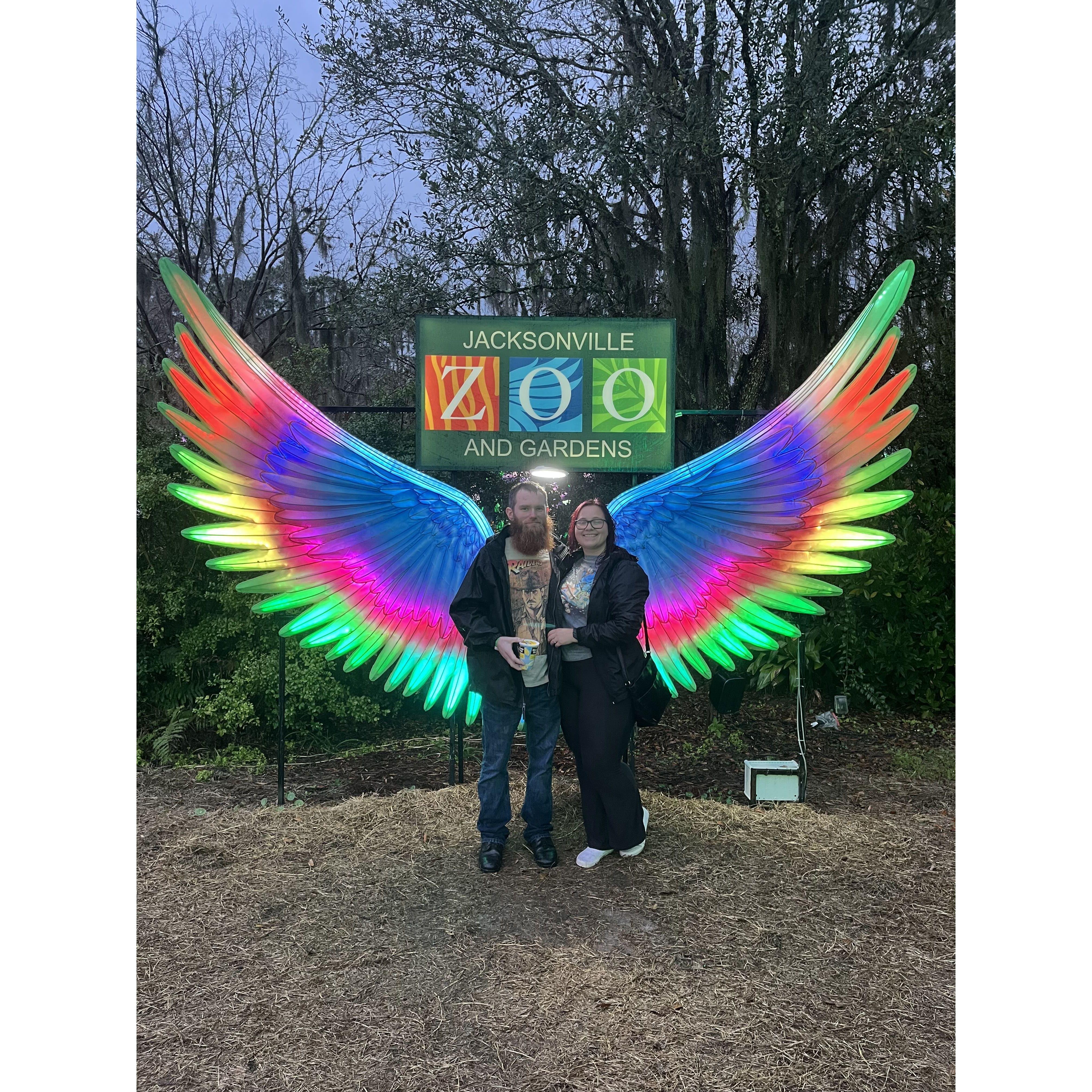 A very rainy day at the zoo