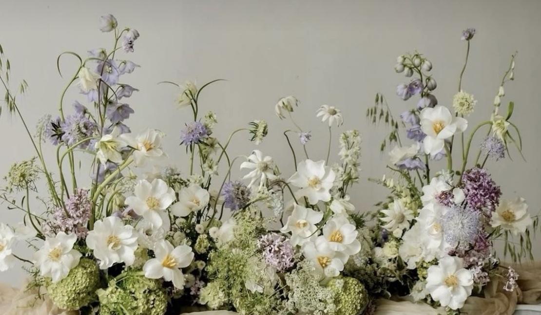 The Wedding Website of Payton Nestor and Nathaniel Aldino