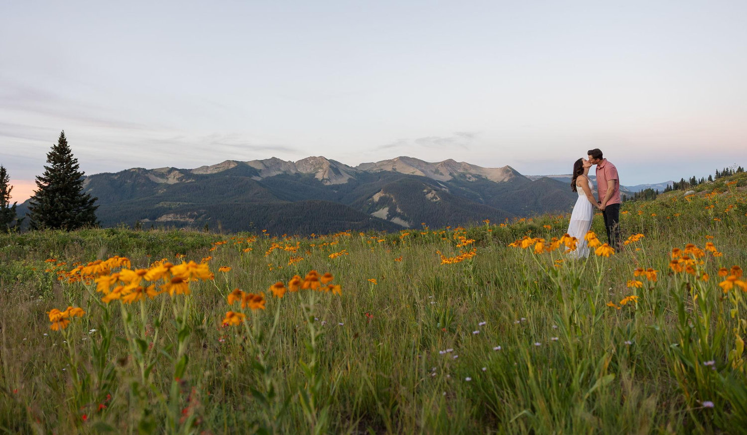 Zachary Nelson and Adrian Wire's Wedding Website