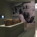 Albany Institute of History & Art