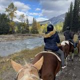 Banff National Park: 1-Hour Bow River Horseback Ride