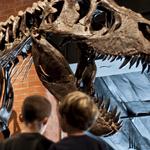 Houston Museum of Natural Science