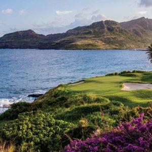 Round of Golf in Hawaii