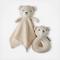Teddy The Bear