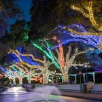 Houston Zoo Lights