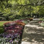 Harry P Leu Gardens