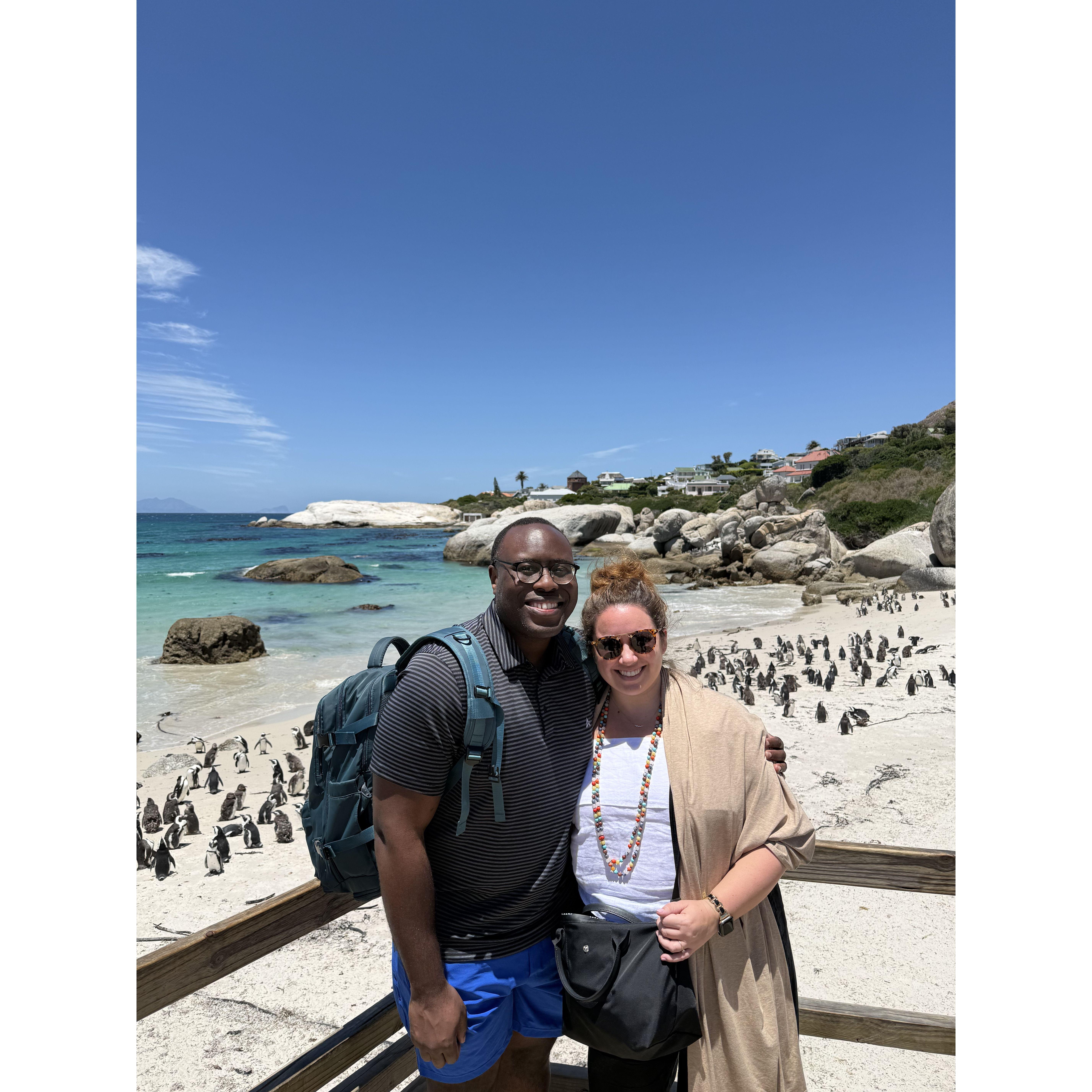 Boulders Beach, South Africa