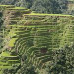 Banaue