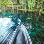 Silver Springs State Park