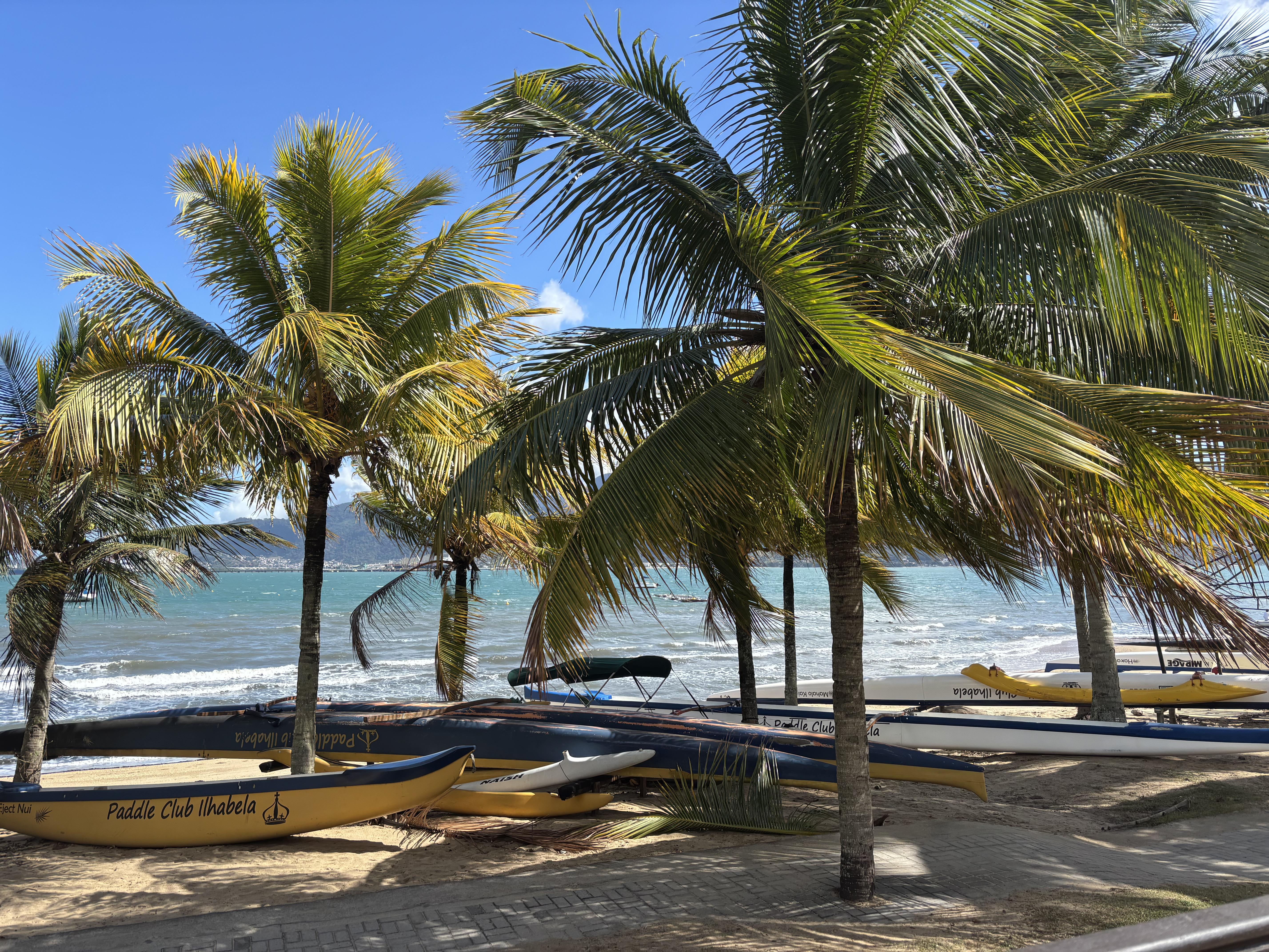 The Wedding Website of Ana Júlia Gutierrez and Nicolas Gutierrez