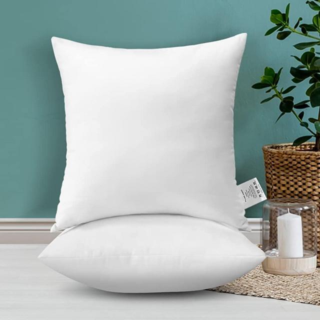 OTOSTAR Pack of 2 Throw Pillow Inserts, 18 x 18 Square Cushion Inner Soft Fluffy Plump Stuffer Cushion Pads White Decorative Pillow Inserts