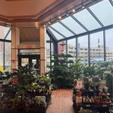 Foellinger-Freimann Botanical Conservatory