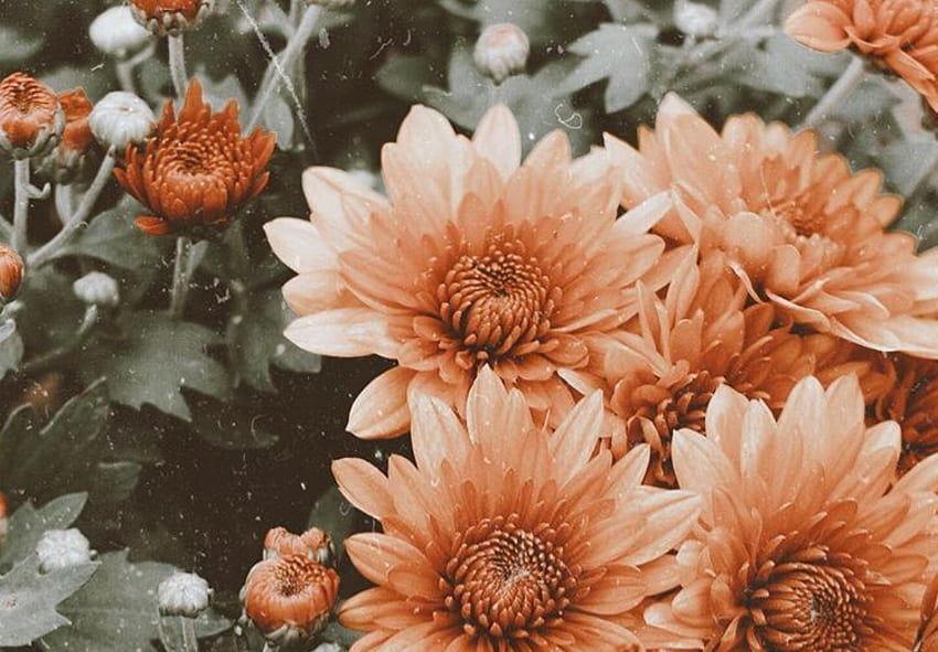 The Wedding Website of Kasey Annis and Stephen Pham