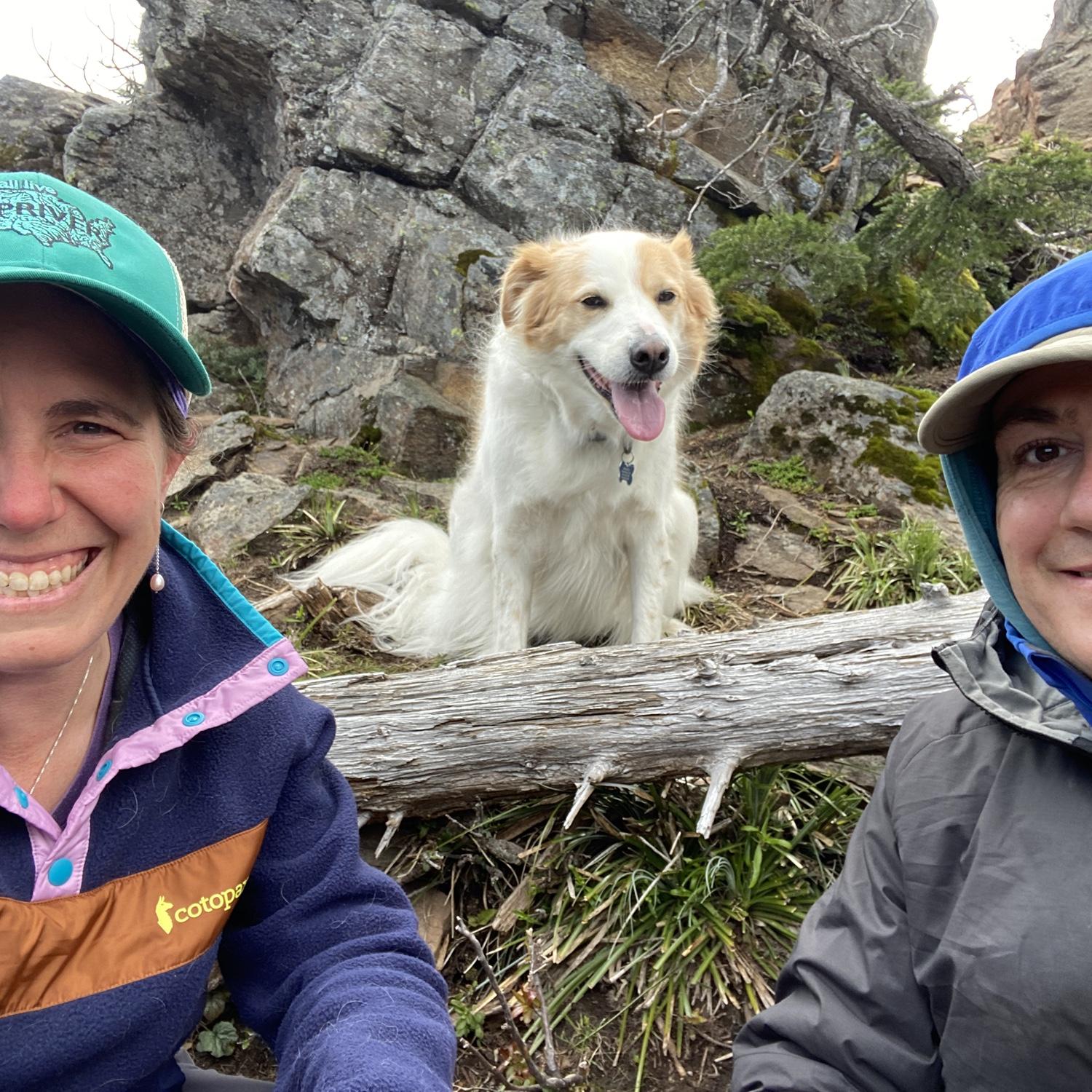 Hiking with Bandit on the Sleeping Beauty trail in Washington. June 2022