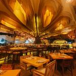 Ilios | Greek restaurant in Cancun