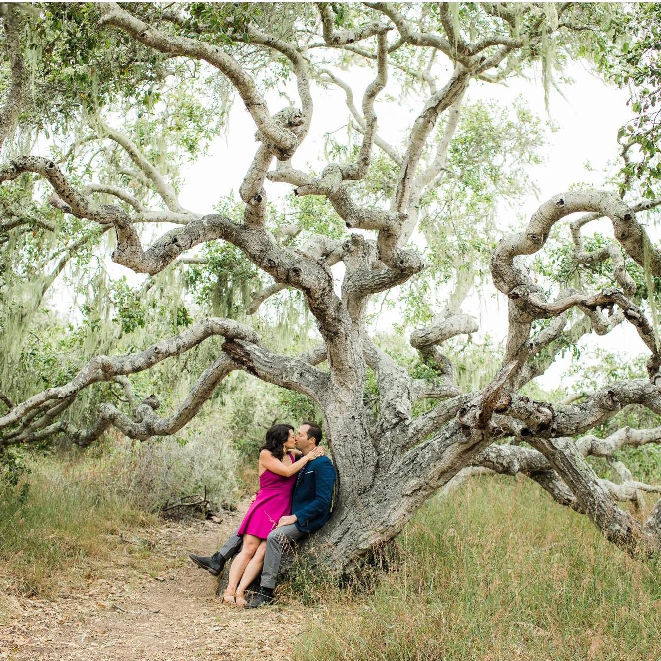 Our family tree starts here.