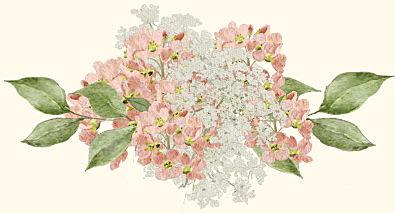 e06736fb-b7d7-4aa7-918f-0a852f71029b