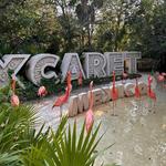 Xcaret Park Day Trip
