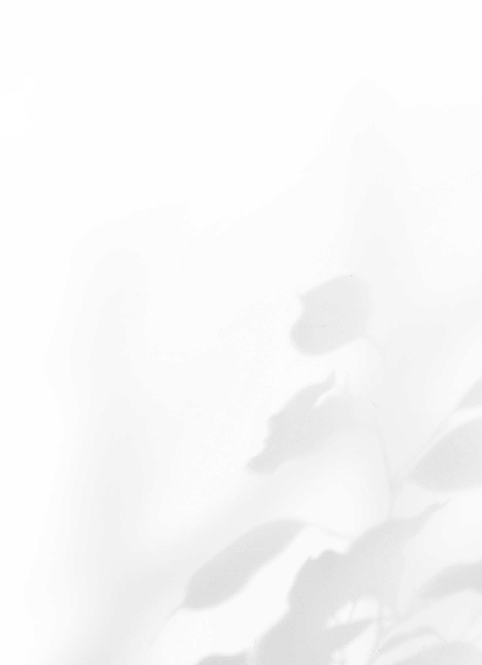 texture