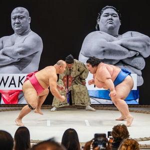 Sumo Show in Osaka
