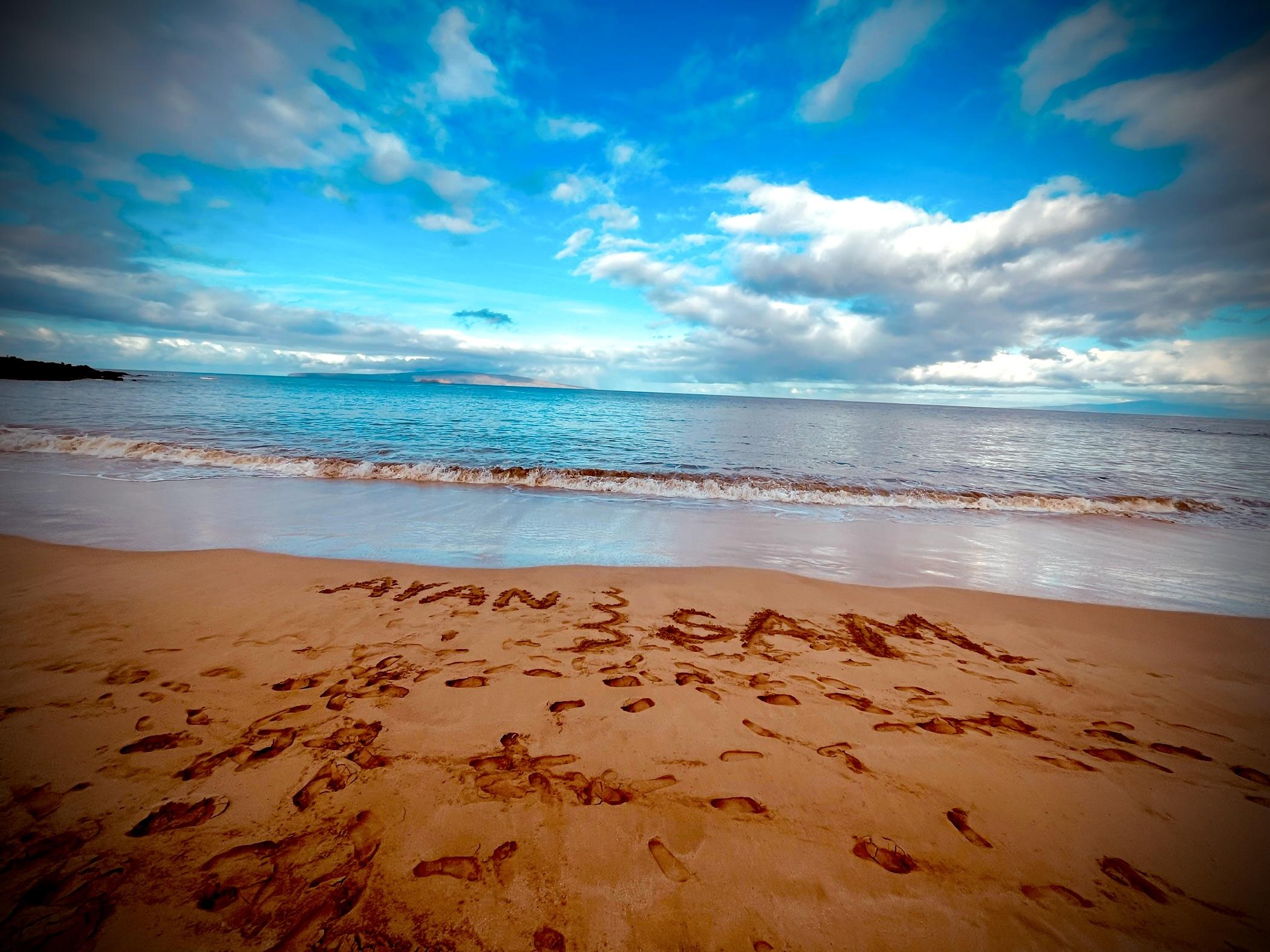 e069782a-2aa9-4f77-bc7a-b0c4690cc791