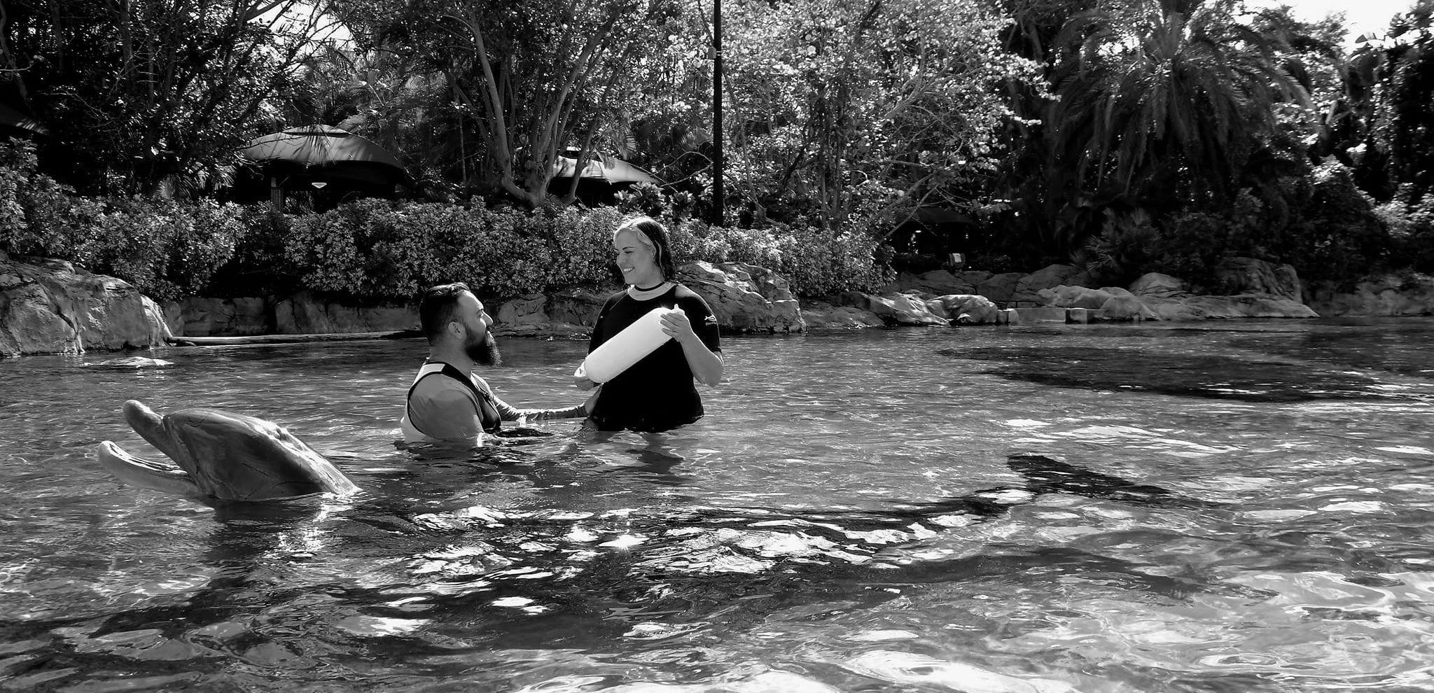 e069e695-6dbe-49dd-afc9-44f27f5a89b7