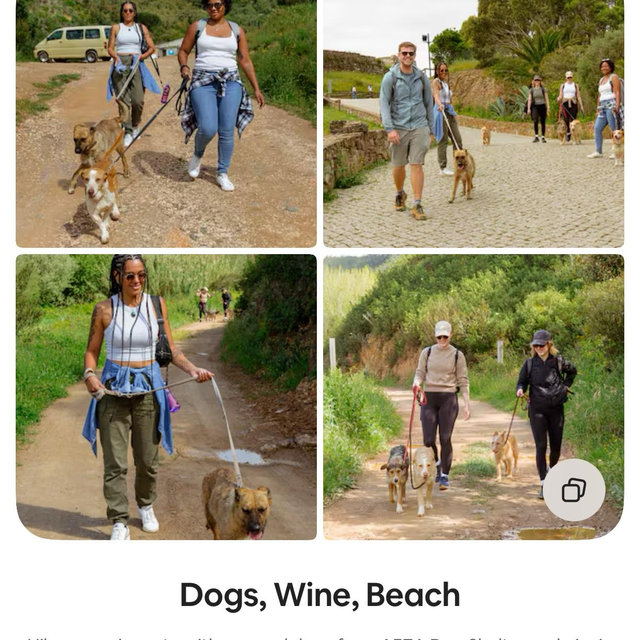 Hike with rescue dogs and picnic in Lagos