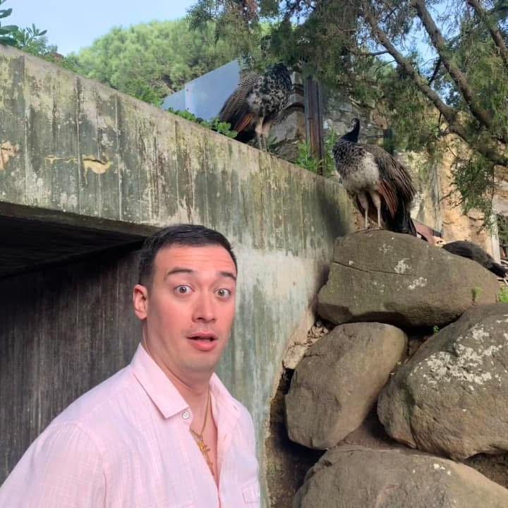 PEACOCK POO!