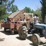 Wagon Ride
