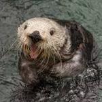 Oregon Zoo