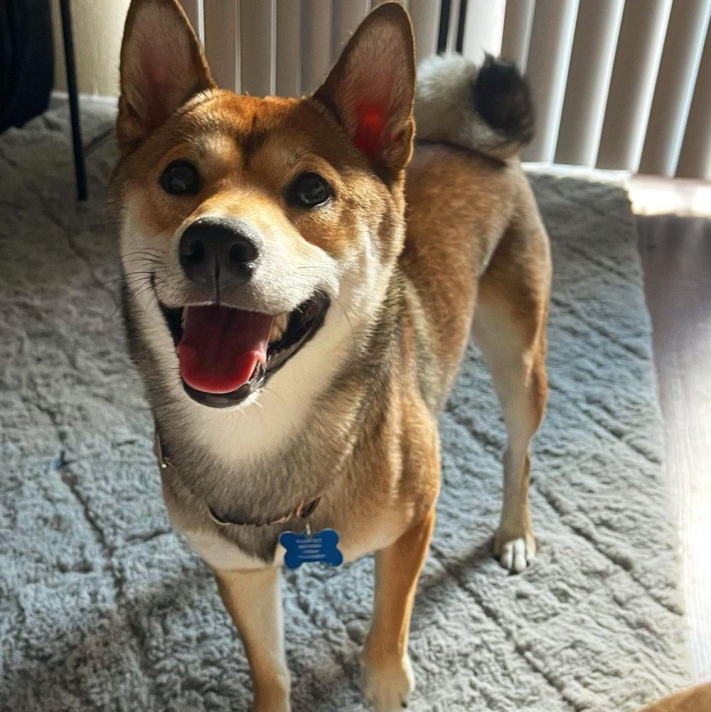 Hero Image 1