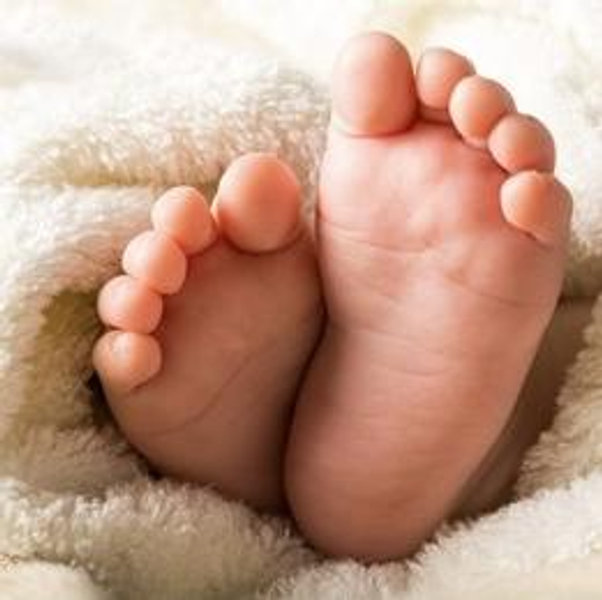Start A Family Fund