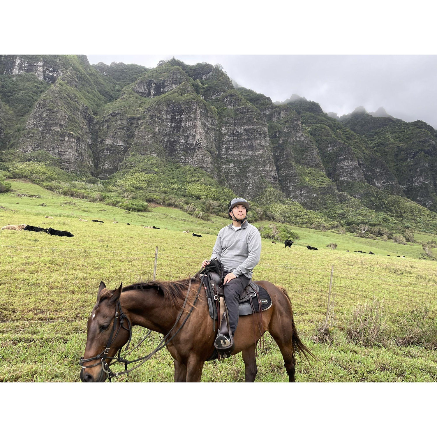 Probably thinking about why I always make him go horseback riding lol