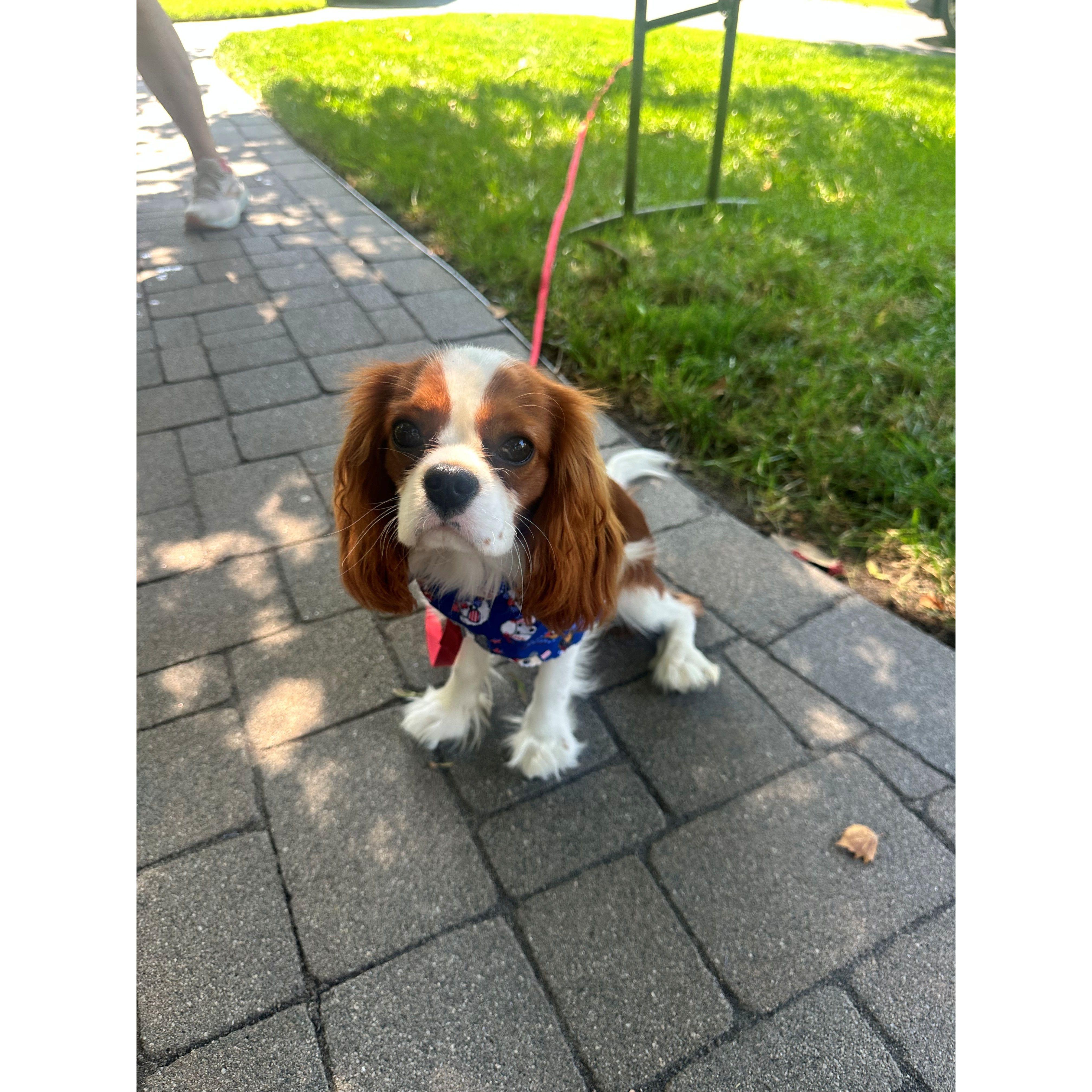 Never too many photos of Dunkin!