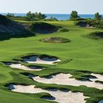 Activity: Harbor Shores Golf Club