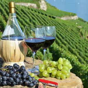 Wine Tasting in Tuscany