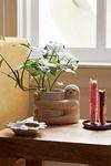 Sloth Planter