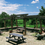 Wilderness Run Vineyards