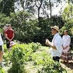 Coffee Farm Tour
