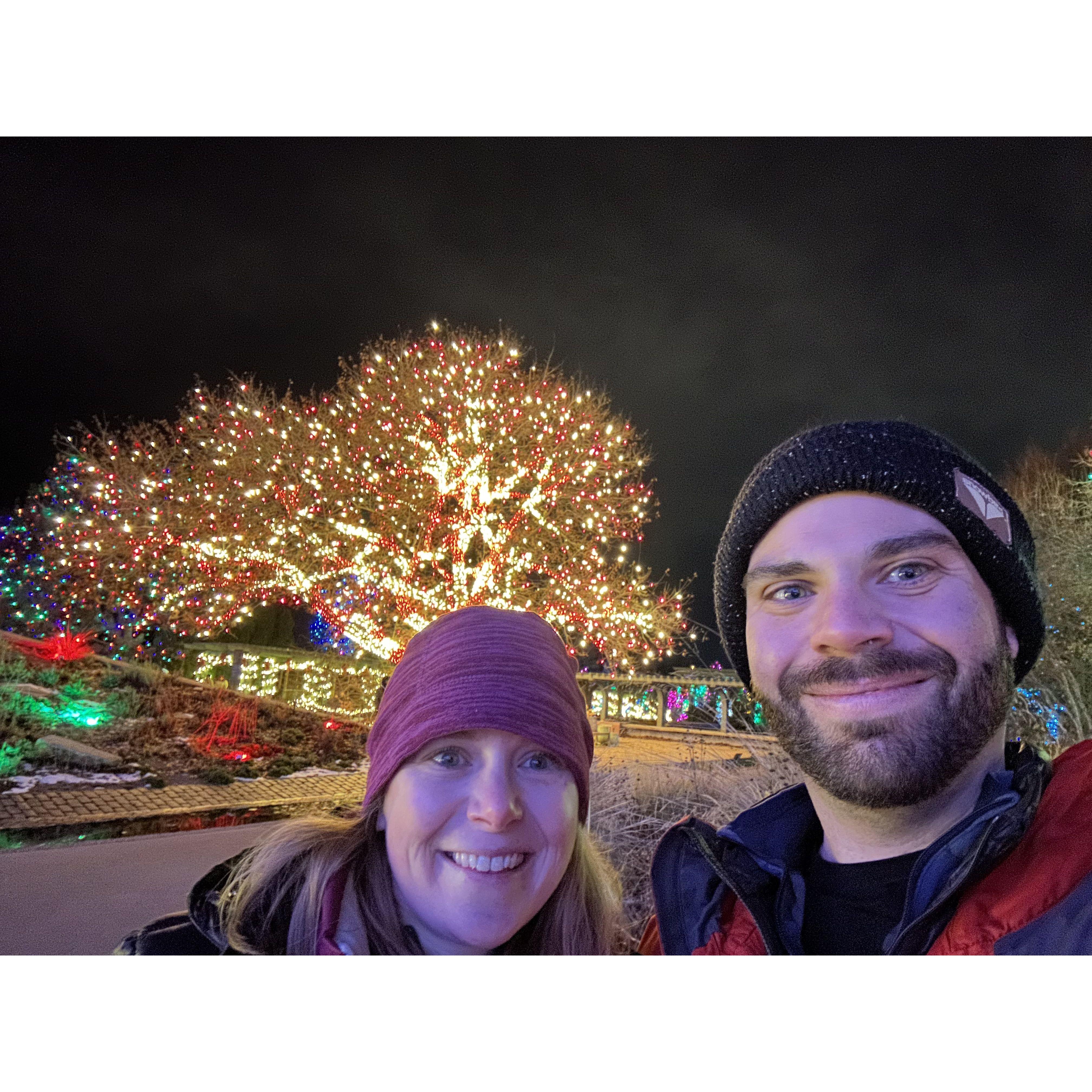 Denver Botanical Garden Blossom Lights